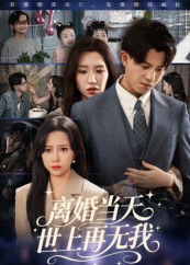 离婚当天世上再无我（60集）短剧后续更精彩