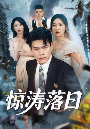 惊涛落日（60集）高清画质免费看