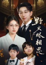 野火烬相思（61集）直接看到大结局