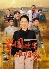 举国欢宴难归家（40集）短剧前十排行榜