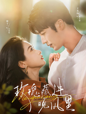 玫瑰藏进晚风里（68集）全集完整版