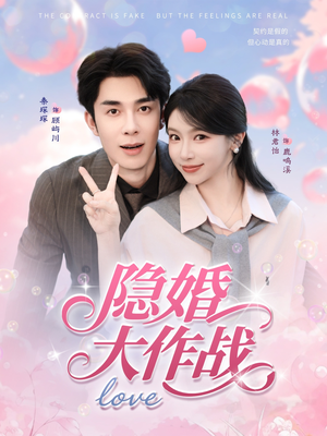 隐婚大作战（82集）全季一次看完
