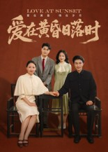爱在黄昏日落时（62集）精彩短剧下载
