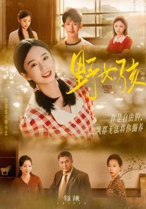 野女孩（91集）在线看免费版