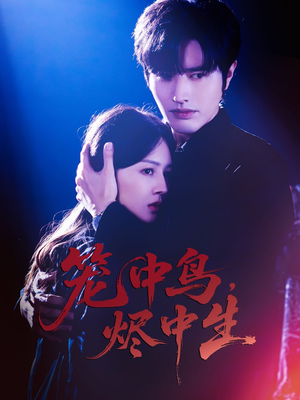 笼中鸟，烬中生（60集）口碑爆棚免费看