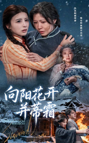 向阳花开并蒂霜（60集）超好看的短剧
