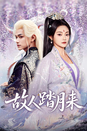 故人踏月来（60集）短剧在线更新