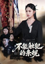 不能触犯的条规（50集）最新上映免费看