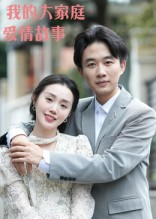 我的大家庭爱情故事（15集）免费观看全集