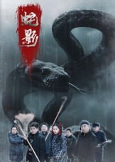蛇影(25集) 蛇影(25集)在哪里可以全集