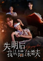 失明后我认错了未婚夫(34集) 失明后我认错了未婚夫(34集)哪个短剧网能看
