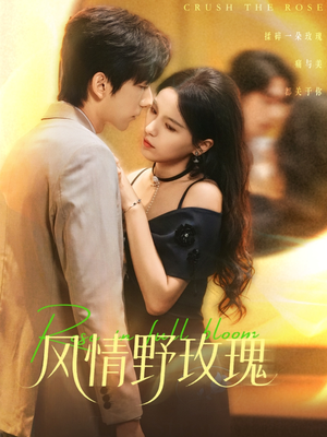 风情野玫瑰（70集）好看短剧抢先看
