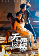 无声风暴（33集）迅雷网盘观看