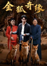 金狐奇缘(42集) 金狐奇缘(42集)免费短剧全集看