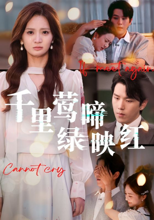 千里莺啼绿映红(63集) 千里莺啼绿映红(63集)在线观看