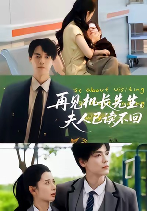 再见机长先生夫人已读不回（62集）短剧热门合集