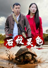 石纹灵龟(30集) 石纹灵龟(30集)短剧推荐更新中