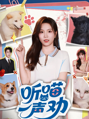 听喵一声劝（60集）热播短剧免费看