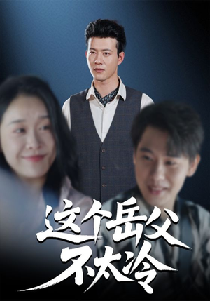 这个岳父不太冷（30集）短剧分享剧集