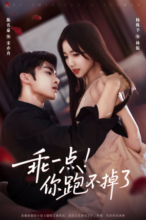 乖一点！你跑不掉了（80集）热门短剧追不停