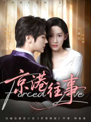 京港往事(80集) 京港往事(80集)热播短剧抢先看