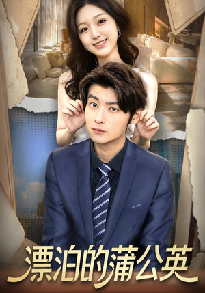 漂泊的蒲公英(60集) 漂泊的蒲公英(60集)高分佳作免费看