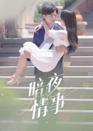 暗夜情事（100集）超级好看的短剧