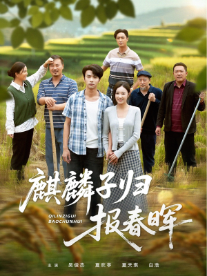 麒麟子归报春晖（36集）经典回顾免费看