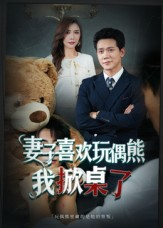 妻子玩偶里的秘密（61集）全集