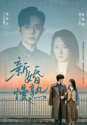 新婚慢熟（105集）网上可以看吗