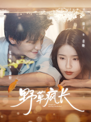 野草疯长(71集) 野草疯长(71集)短剧视频分享