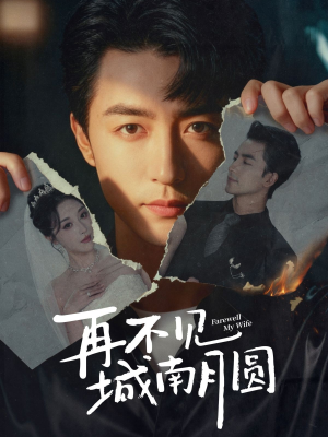 再不见城南月圆（60集）短剧有好货推荐