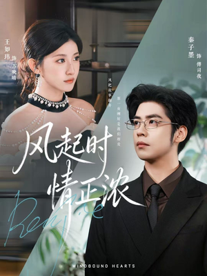 风起时情正浓（79集）短剧介绍
