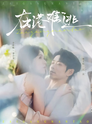 在港难逃（75集）评价怎么样