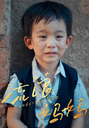 流浪妈妈（30集）男主角是谁