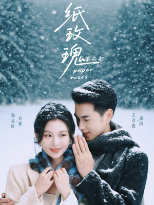 纸玫瑰第二部（80集）超甜短剧抢先看