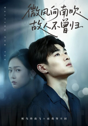 微风向南吹，故人不曾归（72集）最新上映的短剧