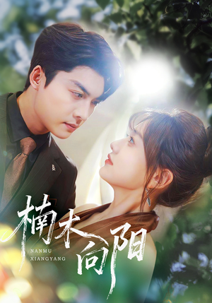 楠木向阳（70集）在哪个app能看