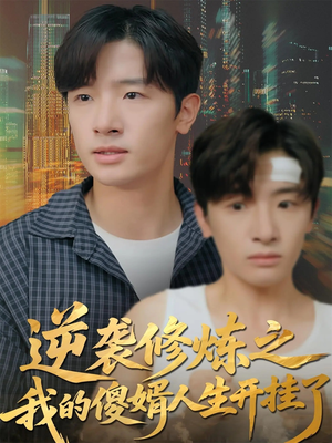 逆袭修炼之我的傻婿人生开挂了（65集）全集免费