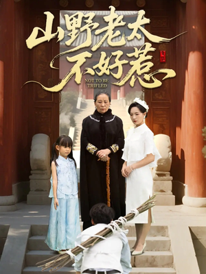 奶奶一脚震全城（64集）免费短剧资源