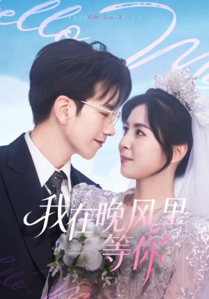我在晚风里等你（65集）最火的短剧