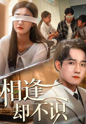 相逢却不识（77集）好看上头的短剧