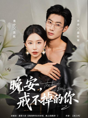 晚安,戒不掉的你(68集) 晚安,戒不掉的你(68集)甜宠短剧推荐