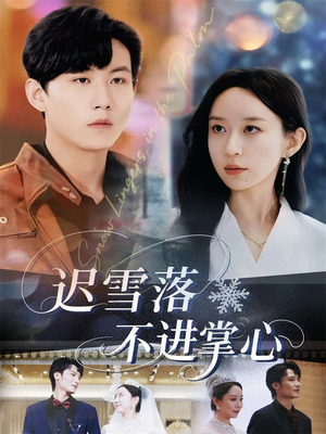 迟雪落不进掌心(79集) 迟雪落不进掌心(79集)免费短剧合集