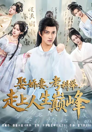 娶娇妻,考科举,走上人生巅峰(80集) 娶娇妻,考科举,走上人生巅峰(80集)短剧上头又好看