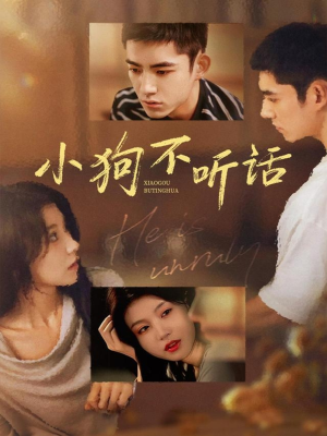 小狗不听话(70集) 小狗不听话(70集)短剧追不停