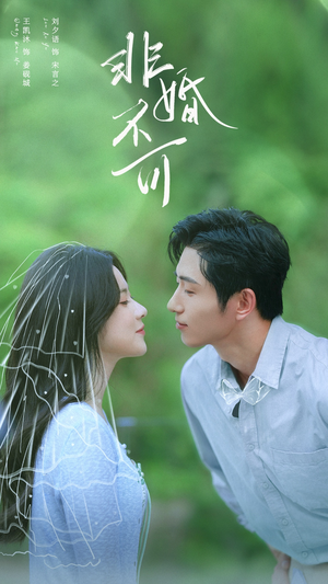 非婚不可(65集) 非婚不可(65集)常回家看看短剧