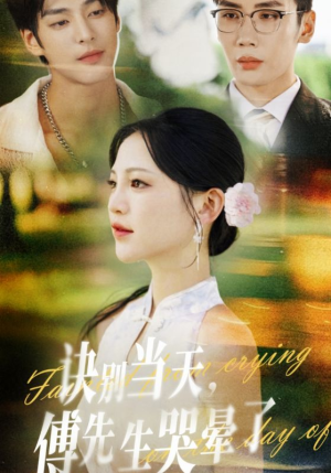 诀别当天傅先生哭晕了(62集) 诀别当天傅先生哭晕了(62集)全集免费