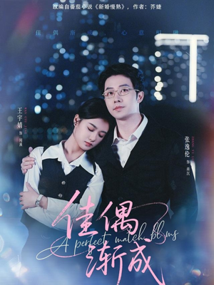 佳偶渐成(71集) 佳偶渐成(71集)超火短剧抢先看