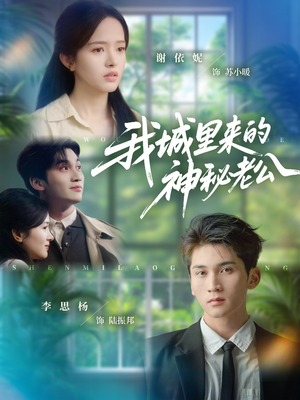 我城里来的神秘老公(30集) 我城里来的神秘老公(30集)爆火短剧推荐